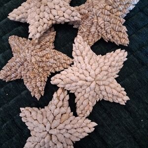Set of 10 Beautiful Seashell Star Decor